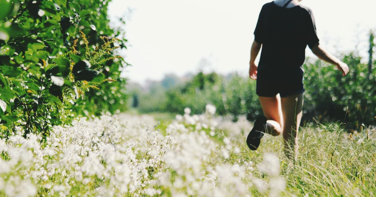 Bestseller 'The Heart Code' Signals Growing Mainstream Interest in Energy-Based Emotional Healing