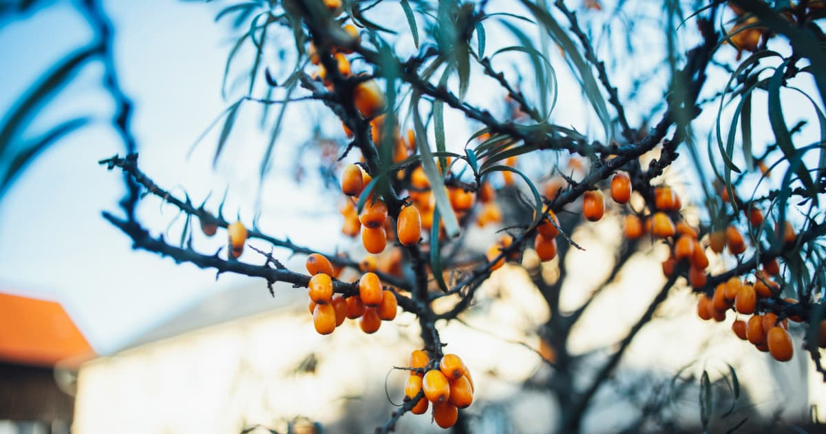 UroLux Concierge Launches Specialized Center for Menopausal Women's Health