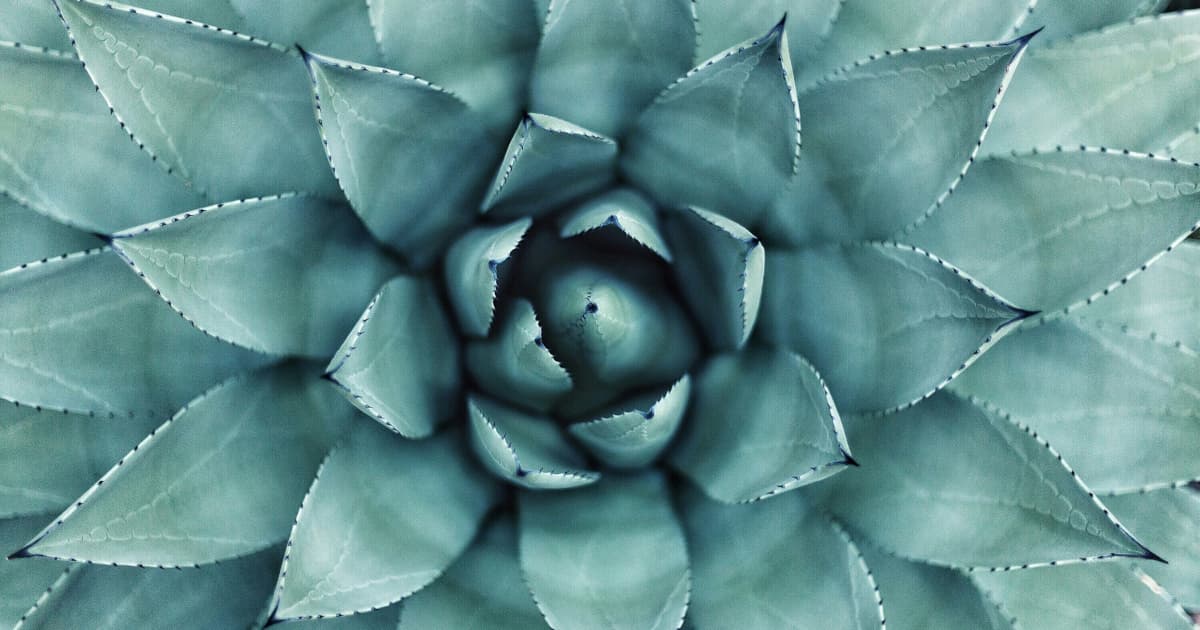 ArcticCollagen Expands Flavored Collagen Supplements Nationwide, Emphasizing Taste as Key to Consumer Adoption