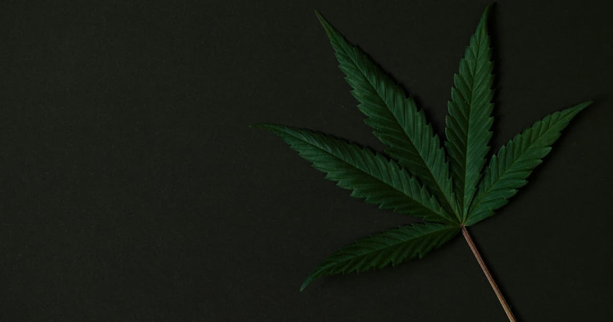 Splash Beverage Group Enters Joint Venture to Expand in Hemp-Derived THC Beverage Market