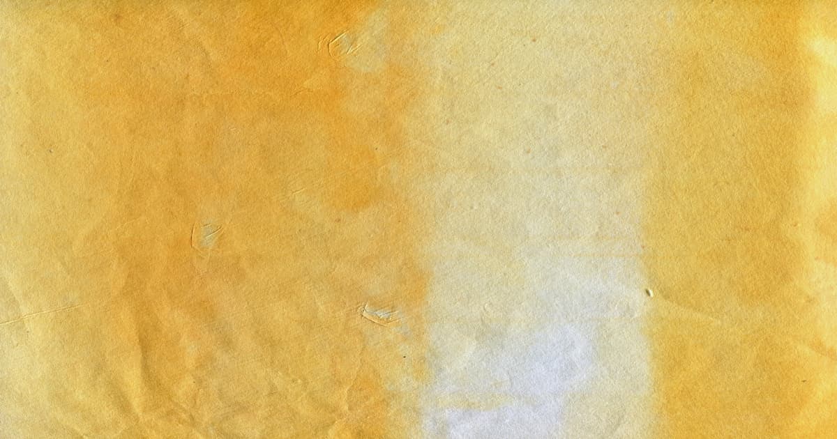 Mobility Solutions Transform Lives Through Nonprofit Partnerships and Personal Stories