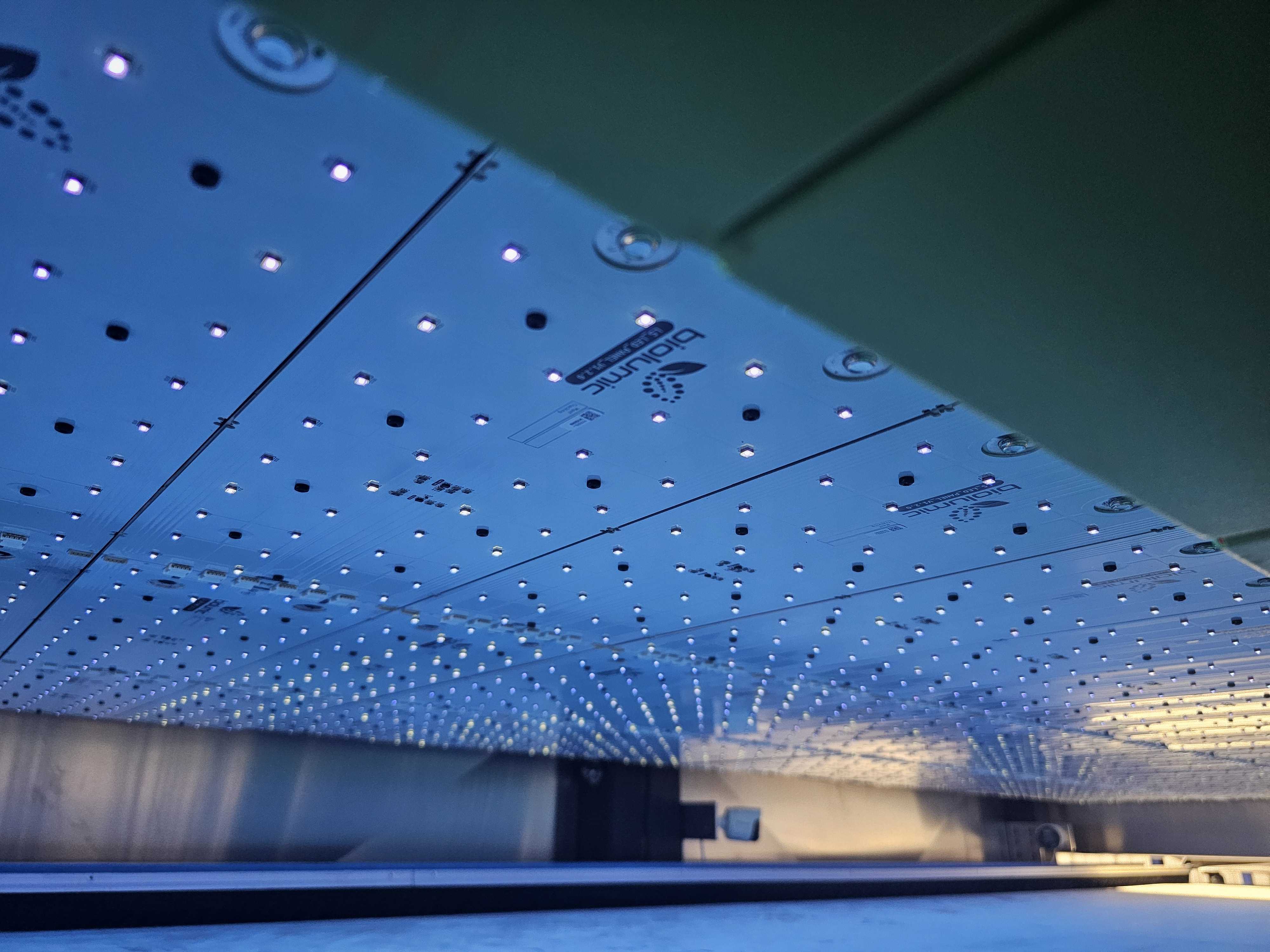 BioLumic's Light-Activated Technology Transforms Crop Enhancement Without Genetic Modification