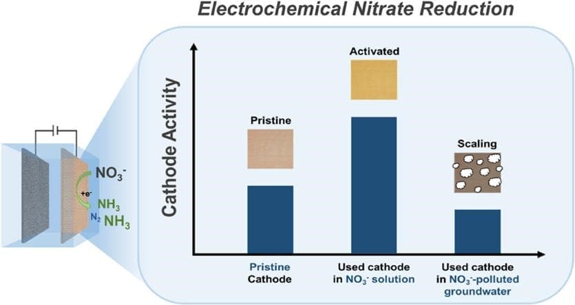 New Electrochemical Method Transforms Nitrate Pollution into Valuable Ammonia
