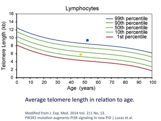 Six-Year Study Shows Intermittent Fasting May Reverse Cellular Aging by Lengthening Telomeres