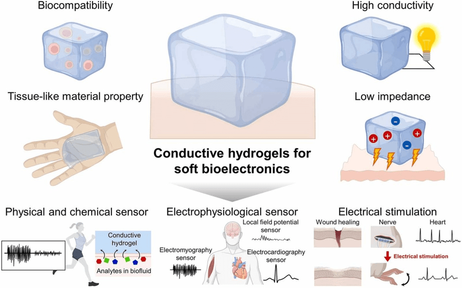 Conductive Hydrogels Bridge Biology and Electronics in Biomedical Breakthrough