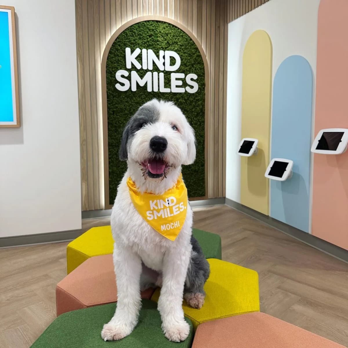 Kind Smiles Orthodontics and Pediatric Dentistry Publishes Guide to Help Orange County Families Evaluate Orthodontic Care Options