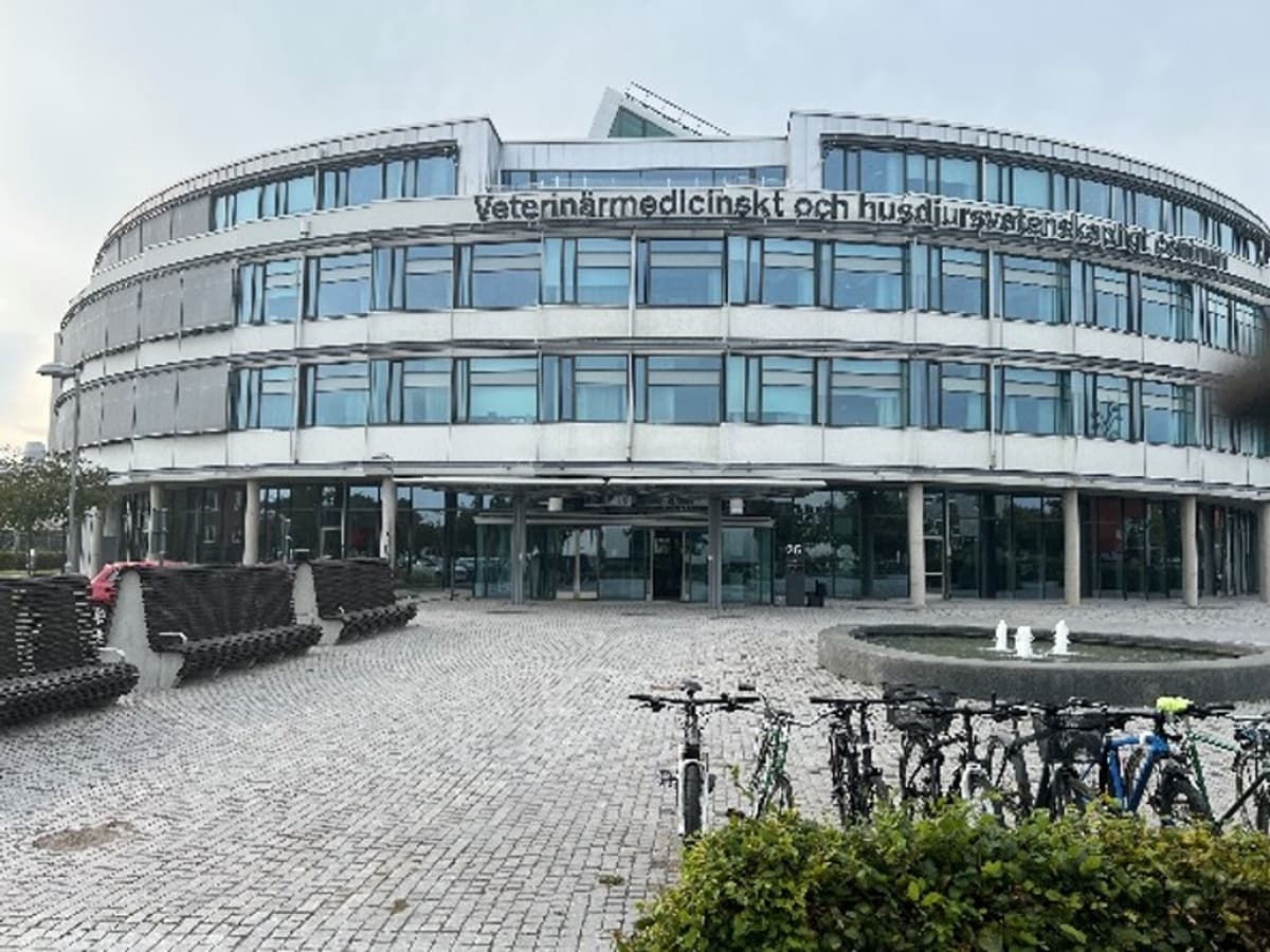 LEKSUM and SLU Establish Unique ICU Muscle Research Lab to Combat Critical Illness Myopathy