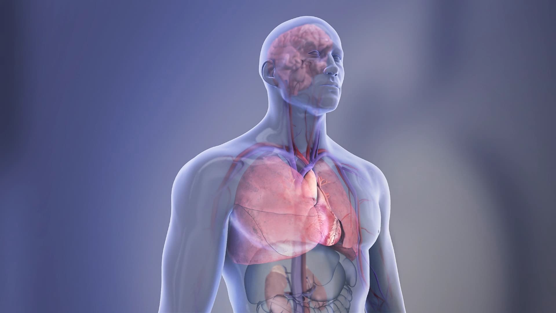 Chronic Kidney Disease and Type 2 Diabetes Accelerate Cardiovascular Risk by Decades, Study Finds