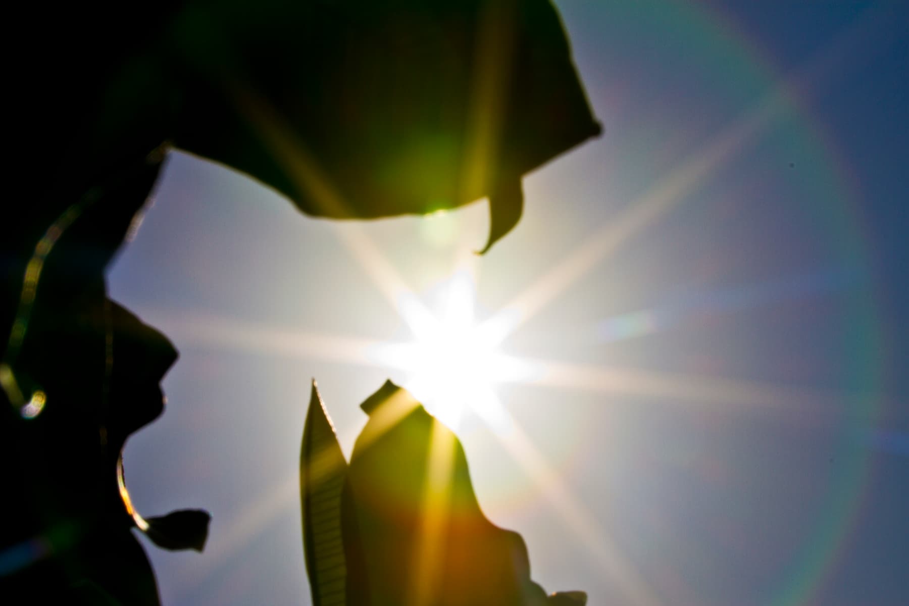 Extreme Heat Nearly Triples Atrial Fibrillation Risk in Patients with Implantable Defibrillators